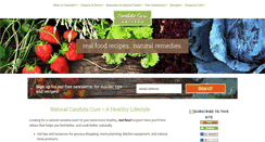 Desktop Screenshot of candida-cure-recipes.com